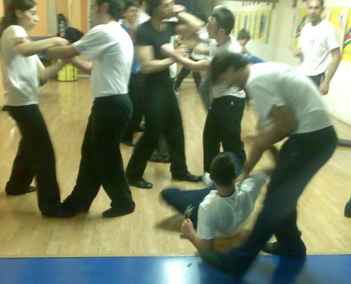 Seminario di wing chun iwka con Master Salvatore Mezzone